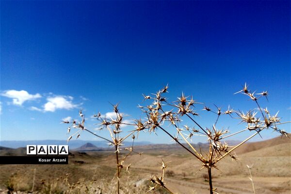 طبیعت زیبای روستا سنجدوک