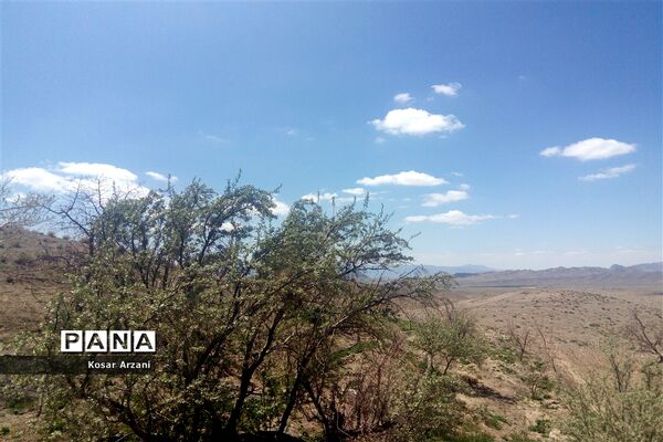 طبیعت زیبای روستا سنجدوک