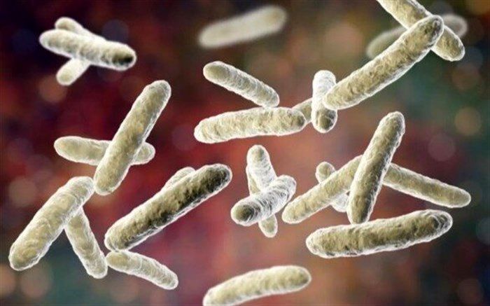 پروبیوتیک‌های مرده‌ هم برای مقابله با التهاب مفیدند