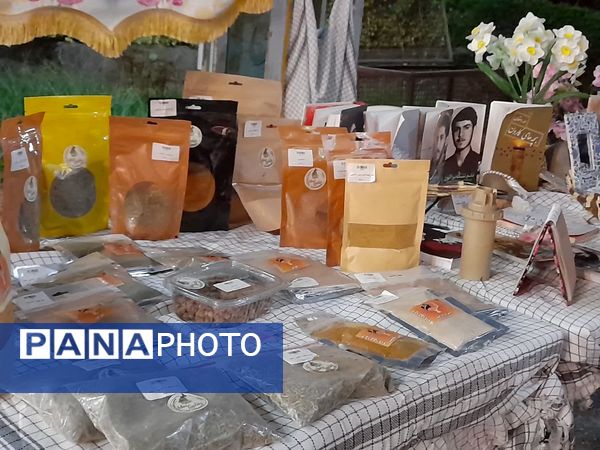 نمایشگاه دختران آفتاب در دوره اردوهای متمرکز شهر تهران