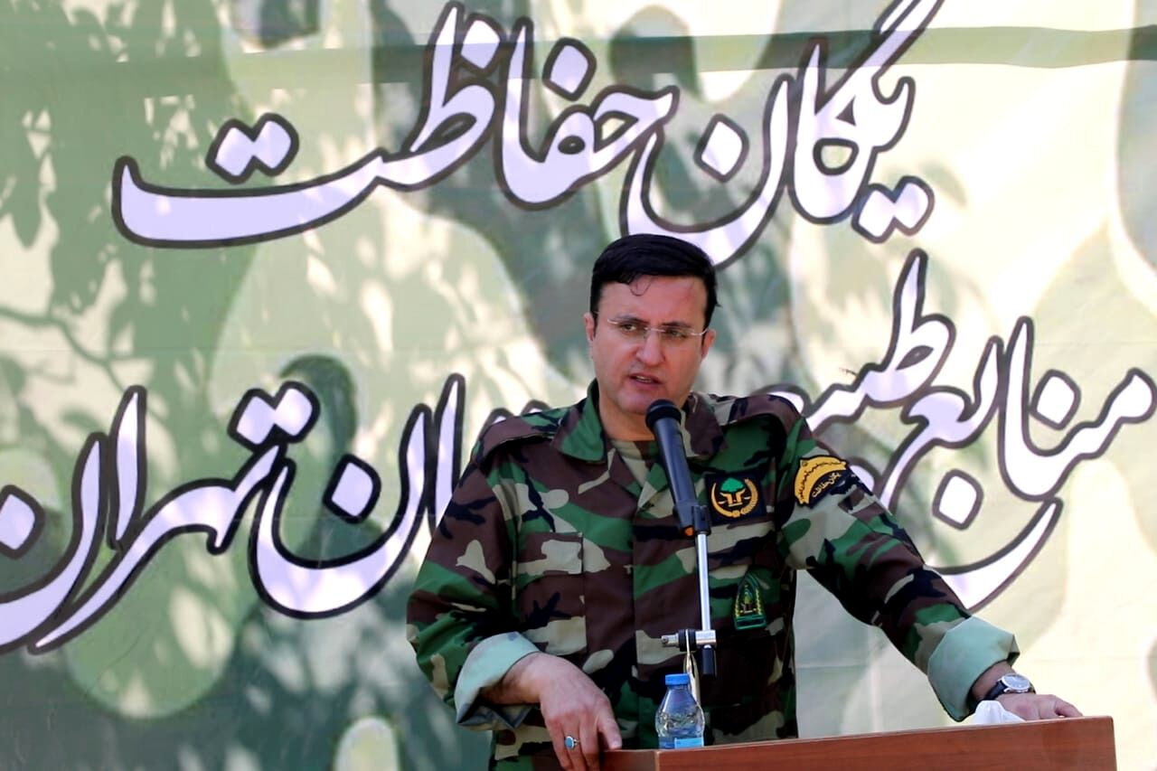 تلاش سازمان منابع طبیعی برای بهبود معیشت جنگلبانان