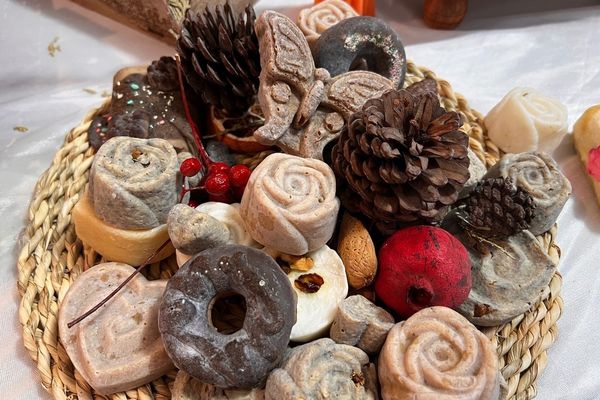 پایان کار نمایشگاه گیاهان دارویی پژوهش‌سرای کاوش کهریزک 