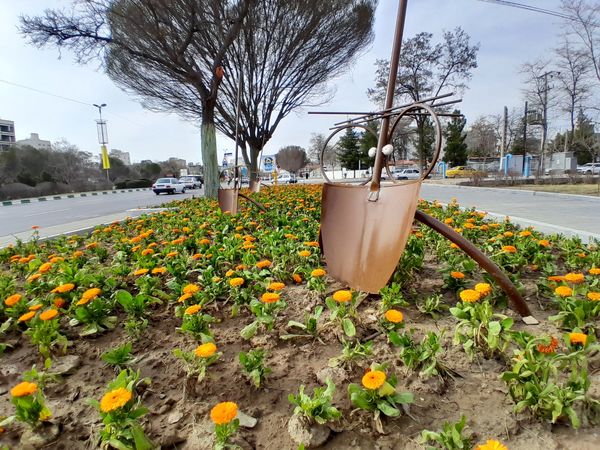 رد پای بهار در مشهد