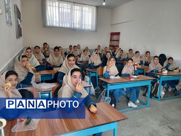 جشنواره غذای سالم در مدرسه سمیه کاشمر 