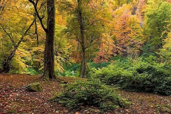 تثبیت مالکیت سازمان حفاظت محیط‌زیست بر ۷ هزار متر مربع اراضی پارک ملی گلستان
