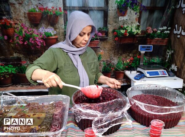 نمایشگاه صنایع دستی باغ فاتح کرج 