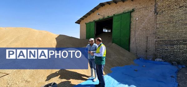 بازدید از مراکز خرید گندم در شهرستان فاروج