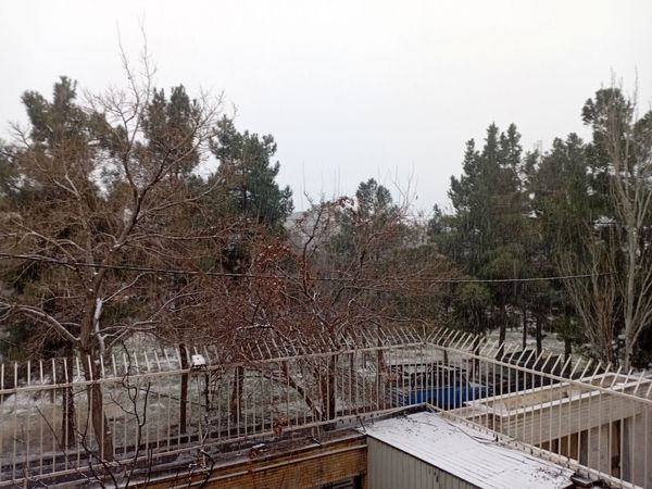 روزهای برفی تبریز از پشت پنجره