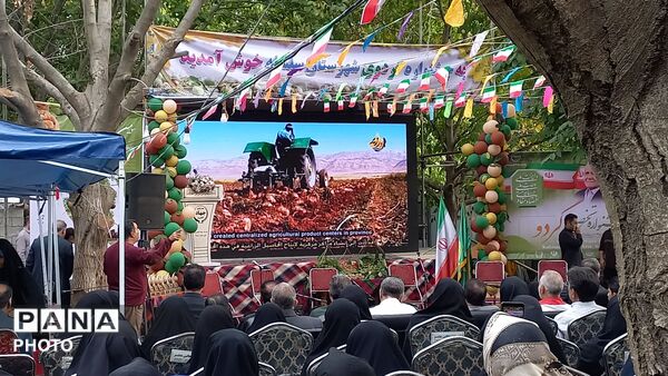 جشنواره‌ ای برای یک محصول؛ گردوی سلسله در مسیر فتح بازارها