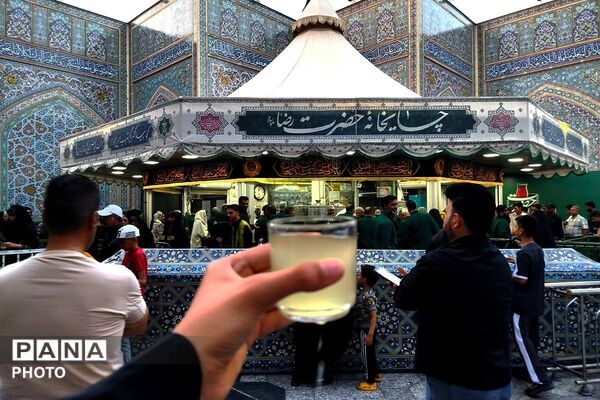 در پناه آرامش؛ وقتی زمان در مشهد متوقف می‌شود