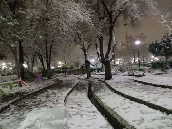 بارش برف در مشهد