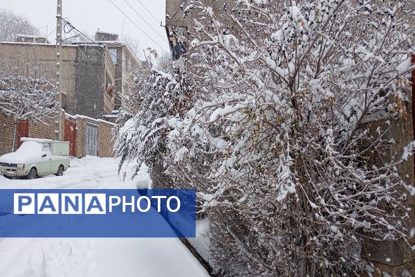 برف بارید و خدا پاکی خود را به شهر زیبایی بار هدیه کرد