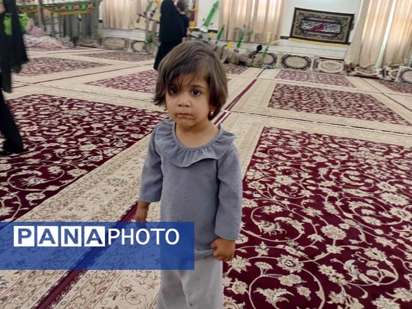 عشق کودکانه به دختر سه ساله ابا عبدالله الحسین(ع)
