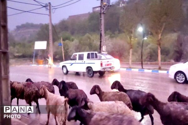 حال و هوای شهر بار بعد از بارش زیبای باران 