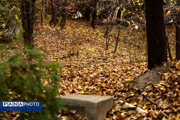 پاییز خیال انگیز در پارک جمشیدیه