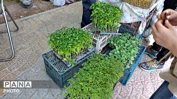 نمایشگاه تخصصی محصولات ارگانیک و صنایع دستی در بوستان لاله شهر کهک