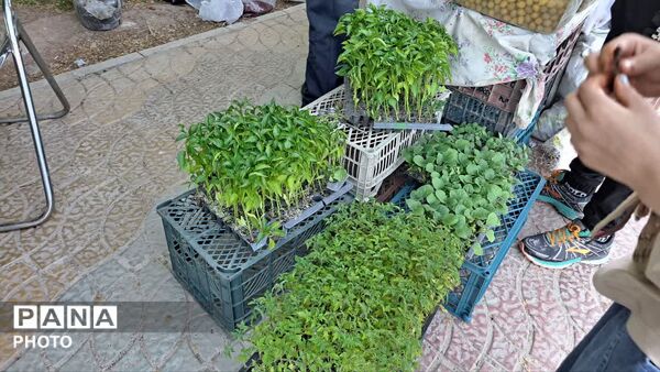 نمایشگاه تخصصی محصولات ارگانیک و صنایع دستی در بوستان لاله شهر کهک