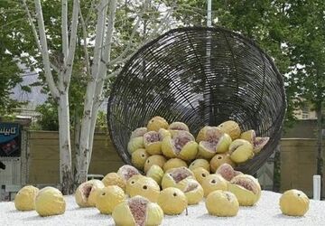ایران جان با استهبان و میوه ی بهشتی اش 





