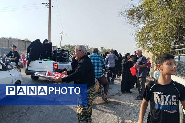 پیاده‌روی امام رضا (ع) در سعدآباد