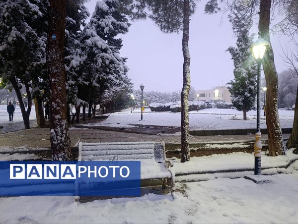 سفید مثل برف