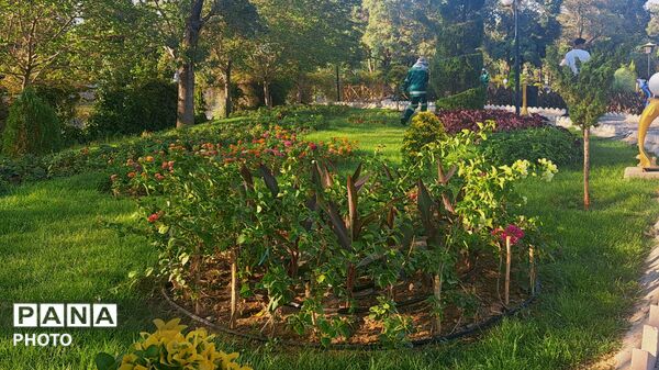 طراوت گل‌ها در قلب کوی صنعتی اراک