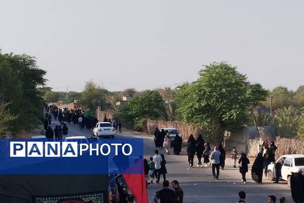 پیاده‌روی امام رضا (ع) در سعدآباد