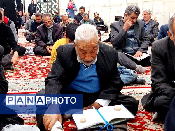 قرائت دعای کمیل در کاشمر