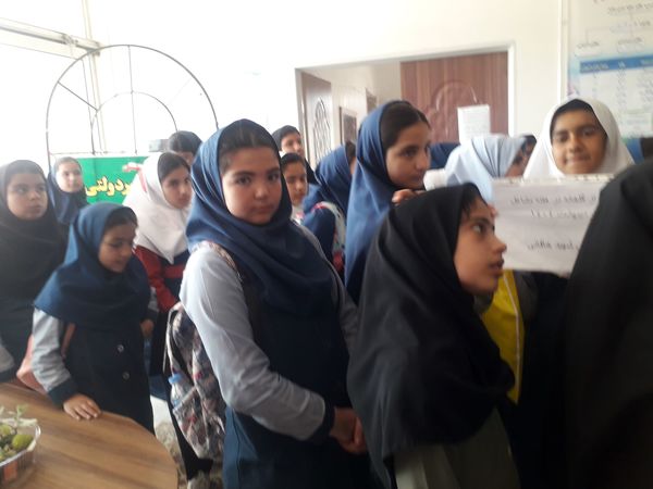 بازدید دانش‌آموزان مدرسه شهید خاقانی از گلخانه پیشه‌وران شیروان