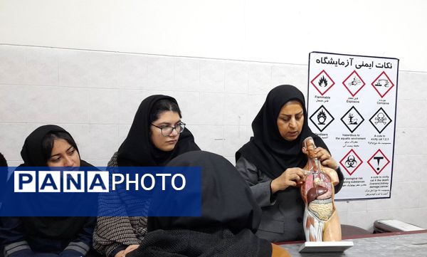 کارگاه تشریح قلب و آناتومی بدن انسان