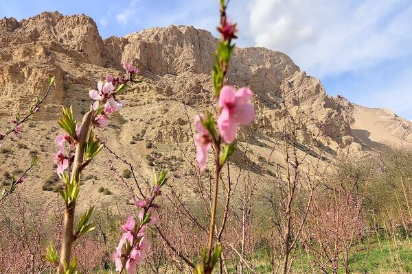 شهر بار نگین سبز خراسان رضوی میزبان فصل بهار 