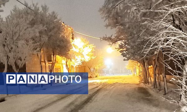 انعکاس دوباره ی رحمت اینبار بارنگ سپید