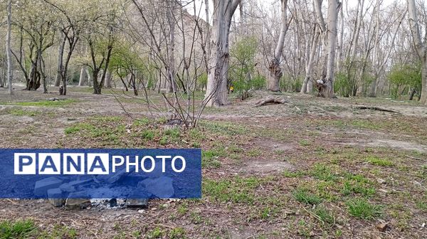 آوای گوش‌نواز بهار در طبیعت شهرستان‌بن