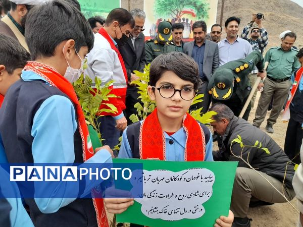 مراسم نمادین کاشت نهال در حاجی‌آباد 