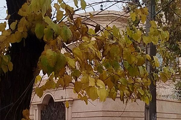 جلوه هایی از باران پاییزی در کاشمر