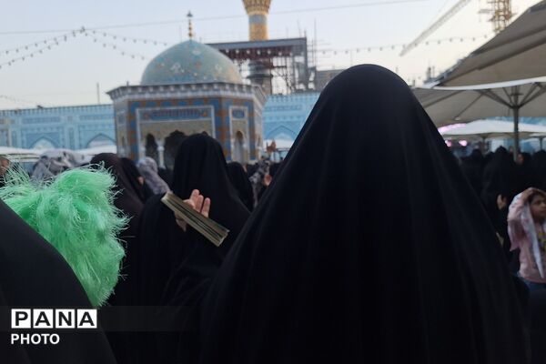 نجوای عاشقانه زائران در روز عرفه؛ مشهد الرضا غرق در زمزمه‌های بندگی
