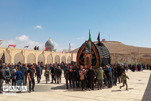 نخل‌برداری بنادکوک‌دیزه در سوگ امام علی (ع)