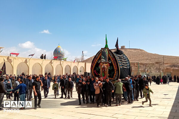 نخل‌برداری بنادکوک‌دیزه در سوگ امام علی (ع)