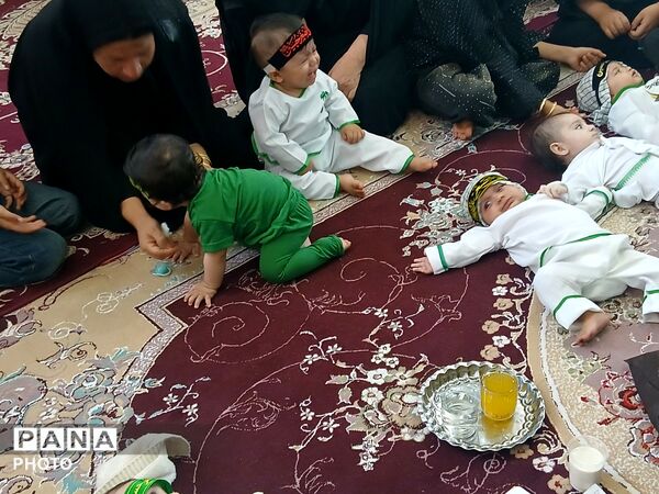 از نوزادی تا عشقِ بی‌کران؛ روایتِ اشک و ایمان در شبِ شیرخوارگان