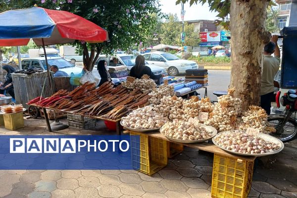 سه‌شنبه بازار شهر املش 