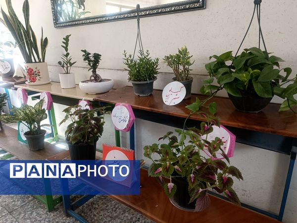  برگزاری جشنواره کارینو در کانون شهدای فرهنگی ملارد