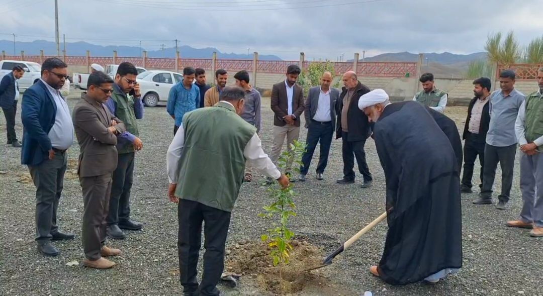 کاشت هر درخت اجر دنیا و آخرت را در پی دارد