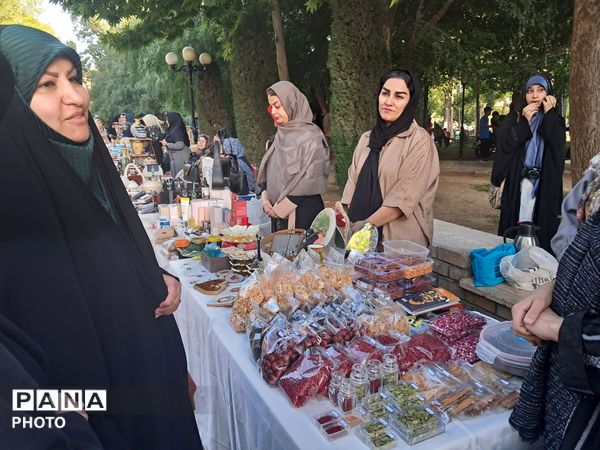 پویش «تکیه گاه» در پارک باغ ایرانی کرج 