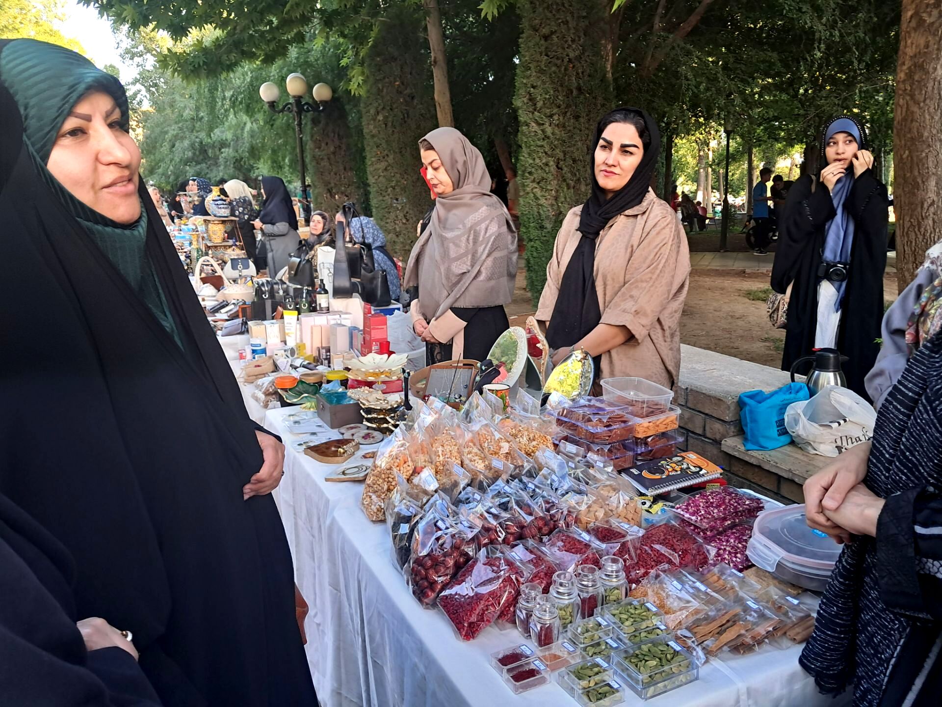 پویش «تکیه گاه» در پارک باغ ایرانی کرج 