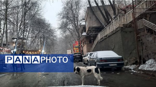 بارش نعمت‌های خداوند در آسمان مشهد