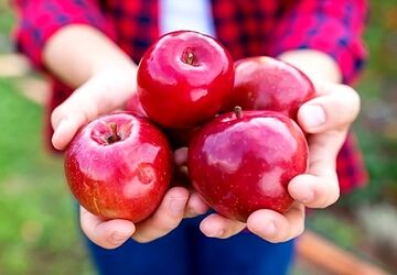 برگزاری مراسم هفته سلامت با شعار سرآغازی سلامت آینده ای سرآمد