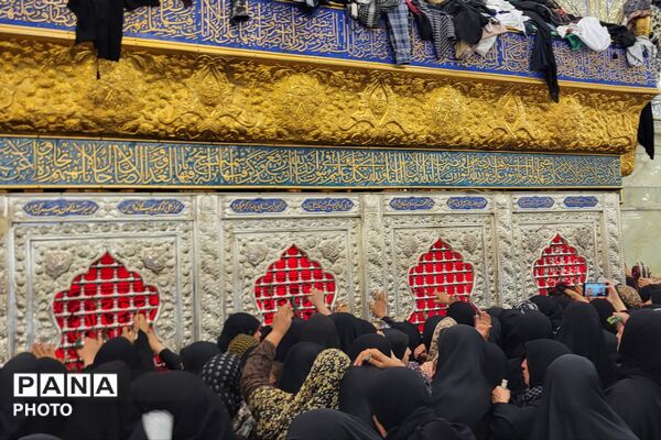 حس و حال دلدادگان حسینی در مسیر نجف و کربلا