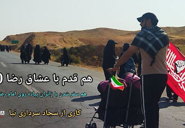 هم قدم با عشاق رضا (ع)