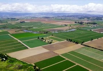 ۸۸ درصد اراضی ‌کشاورزی استان تهران سنددار شدند