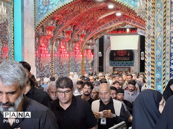 جایی که دل‌ها آرام می‌گیرد؛ گذری به روایت تصویر از آستان مقدس علوی تا حریم امن حسینی