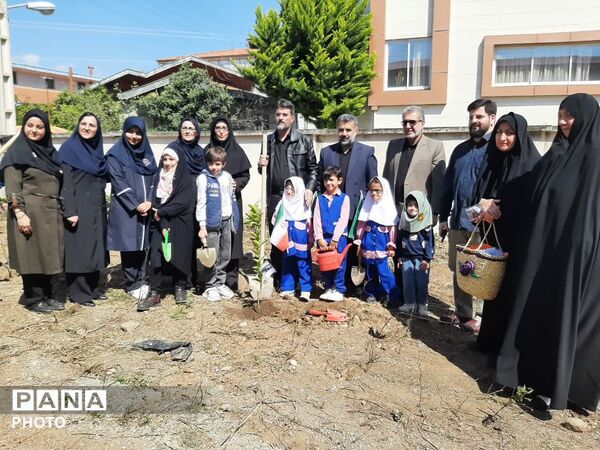 کاشت ۴۰ اصله نهال  به مناسبت چهلمین روز شهادت‌ قائد امت اسلامی ودانش آموزان میناب در تالش
